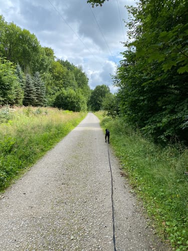 NSG Tagebau Haverlahwiese