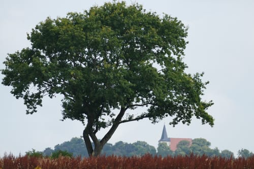 Rund um Eichenzell