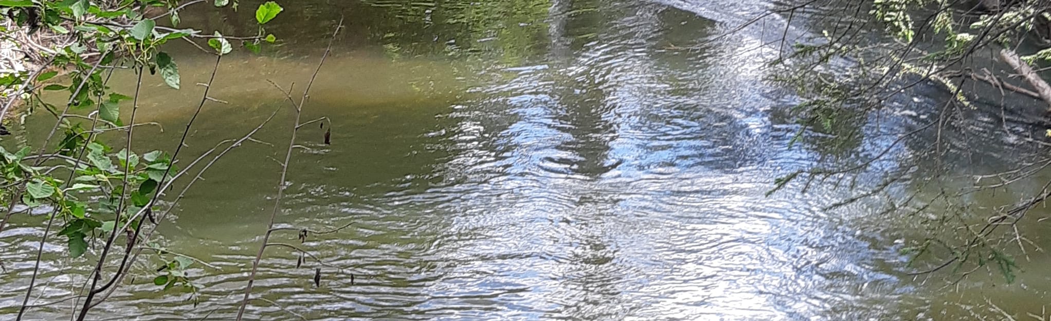 Stewart River from Moose Creek Campground 2 Reviews, Map Yukon