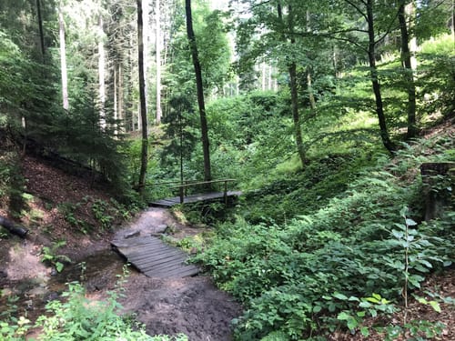 Lochbachpfad (Extratour)