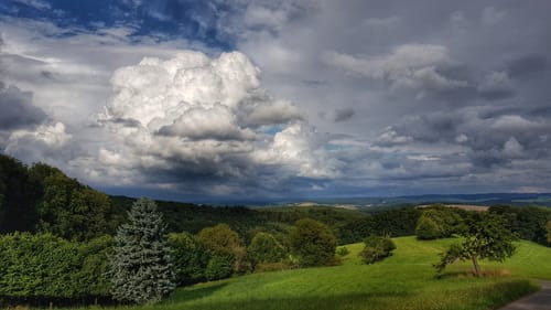 Rundwanderweg Brombachtal Böllsteiner Höhe 2: Ahlertsbrunnen-Weg