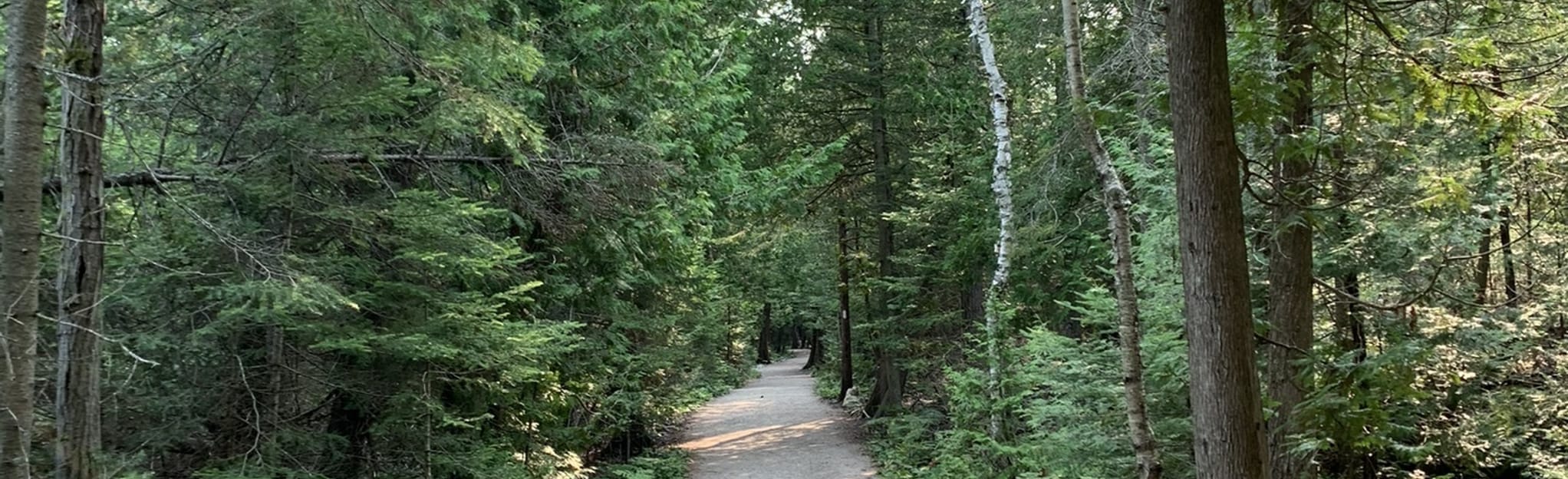 Bruce Trail Tobermory to Loon Lake Map, Guide Ontario, Canada