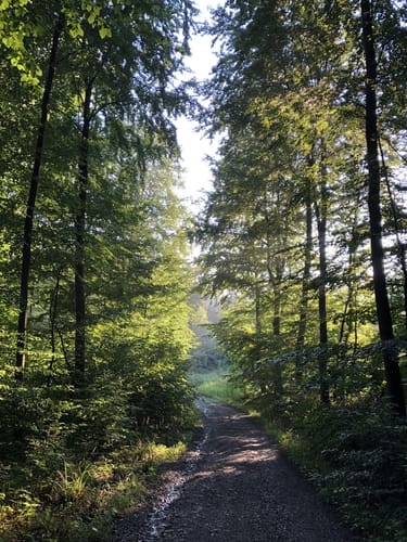 Kreuzstein-Route