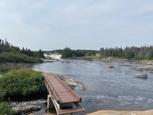 Best Bird Watching Trails in Port Cartier AllTrails