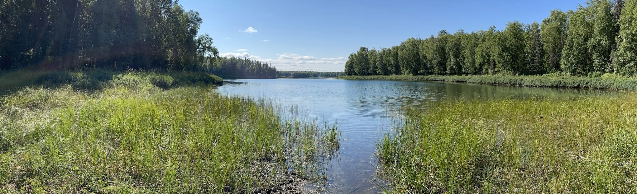 Talkeetna Lake Trail, Alaska 572 Reviews, Map AllTrails