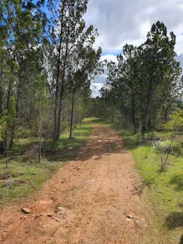Best Hikes and Trails in Kinchina Conservation Park | AllTrails