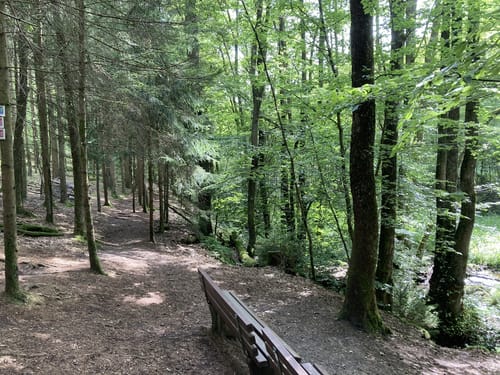 Steinhauerweg (Traumschleife)