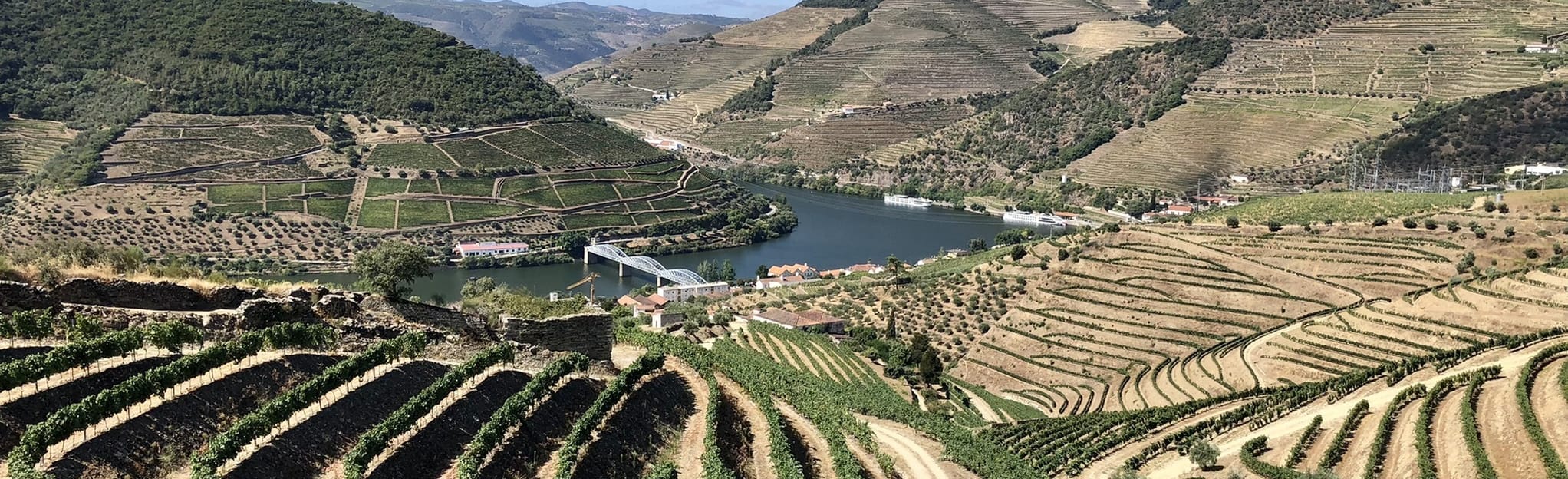 Casal de Loivos Pinhão, Vila Real, Portugal 85 Reviews, Map AllTrails