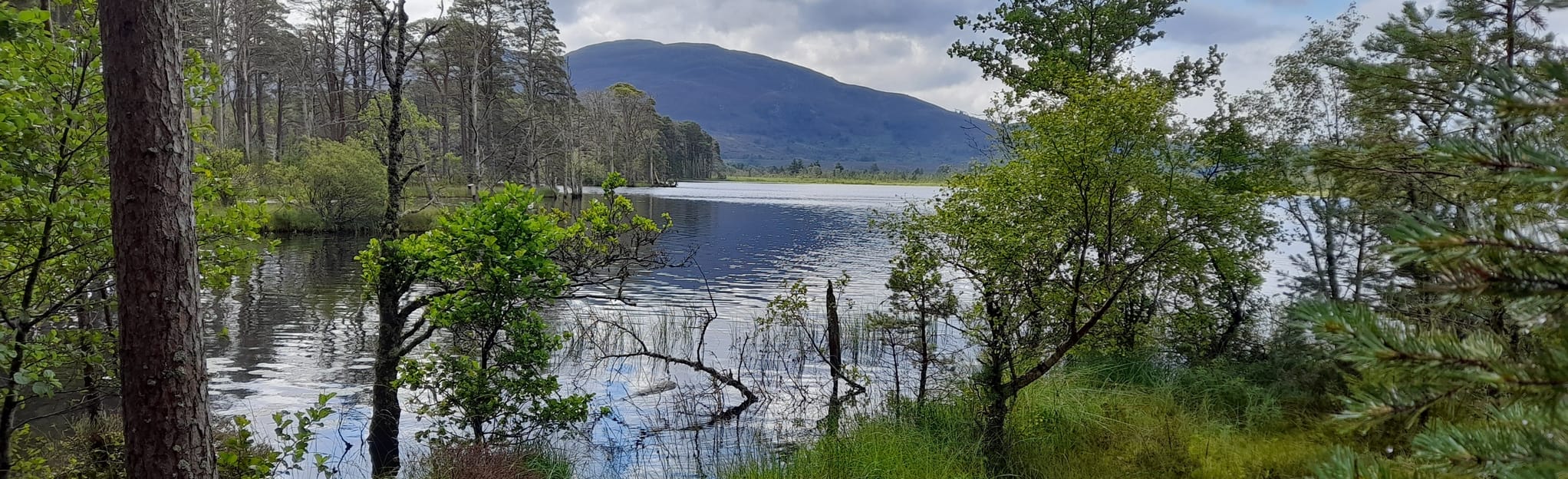 Boat of Garten and Loch Garten, Highlands, Scotland 66 Reviews, Map