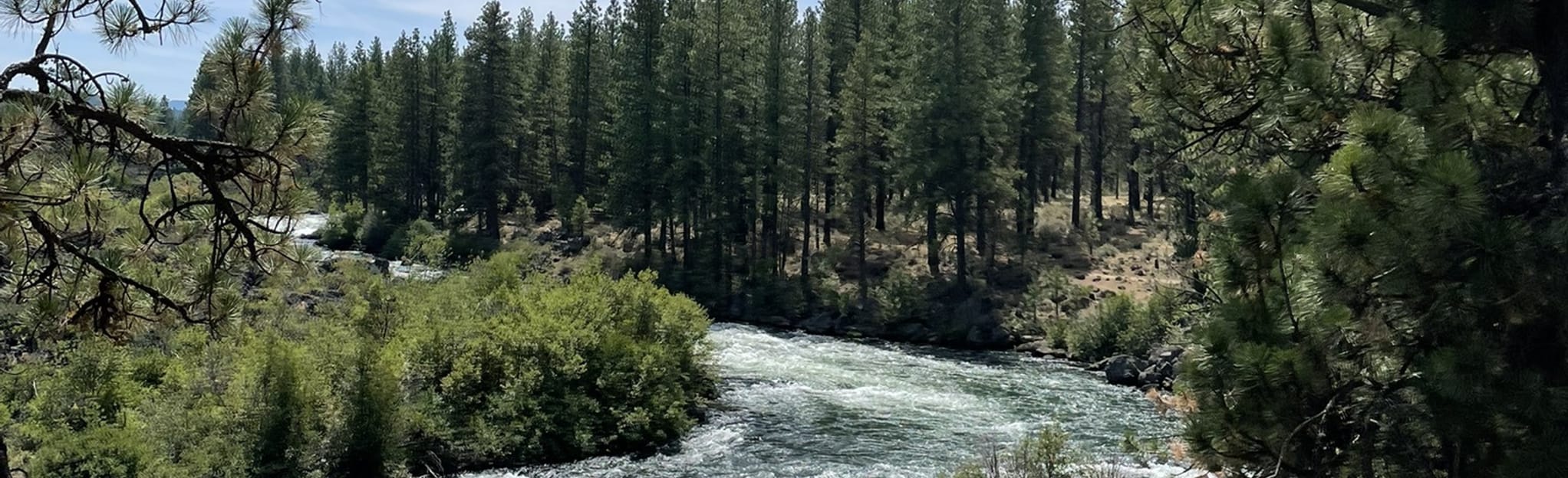 Deschutes River Trail Meadow Day Use Area 505 Reviews, Map Oregon