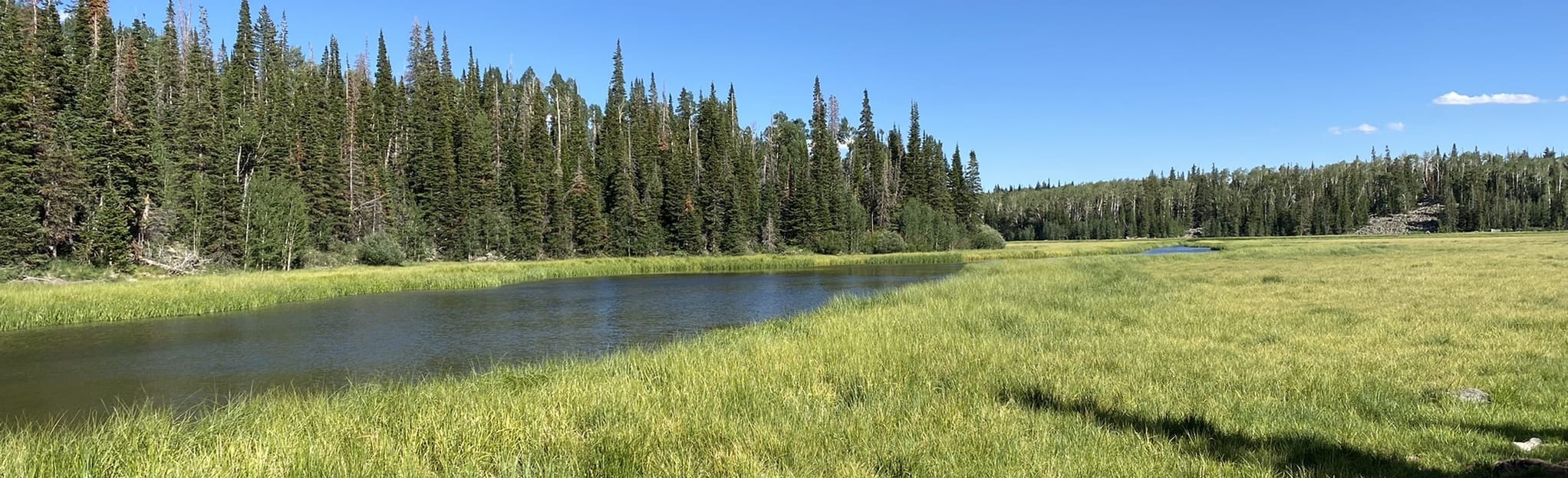 Deer Creek Lake 79 Reviews, Map Utah AllTrails