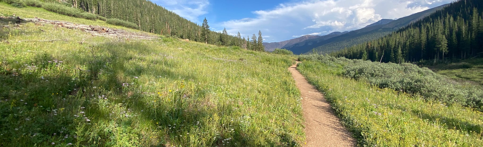Herman Gulch Trail, Colorado 7,844 Reviews, Map AllTrails
