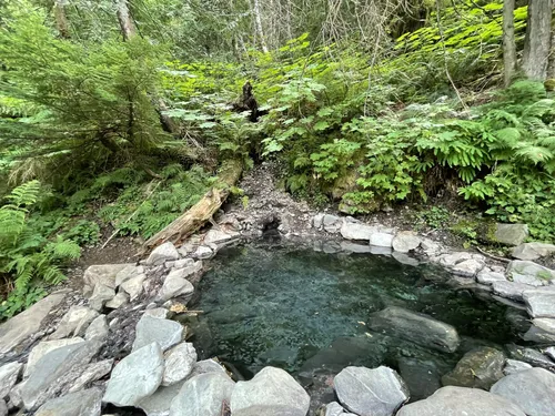 Backpack - Olympic Hot Springs — The Mountaineers