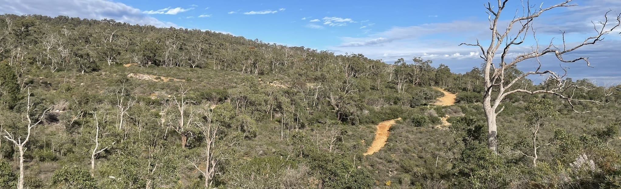 Gilchrist Road to Bickley Brook 5 Reviews, Map Western Australia