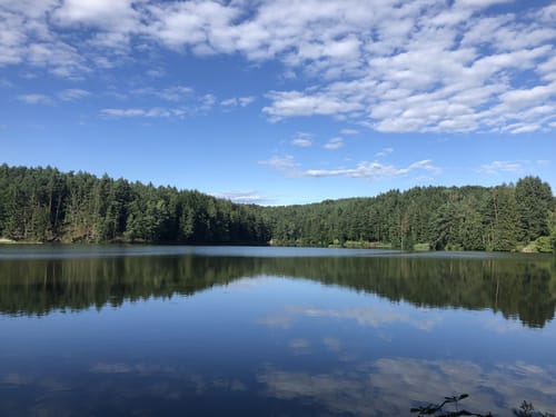 Spurensuche am Eginger See