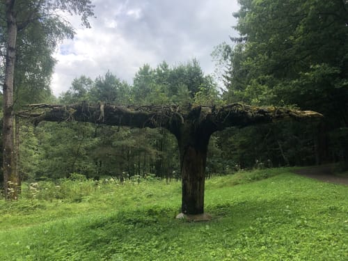 Spurensuche am Eginger See