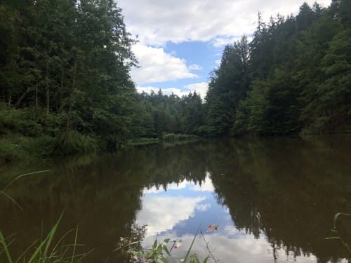 Spurensuche am Eginger See