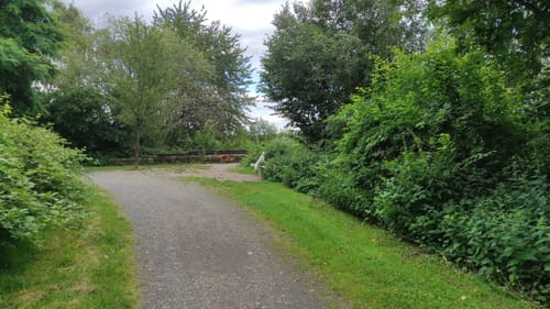 Bodelschwingher Wald - Schweriner Halde