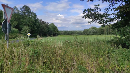Bodelschwingher Wald - Schweriner Halde