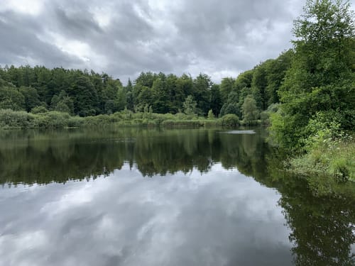 Rundweg: Heidberg - Rammsee