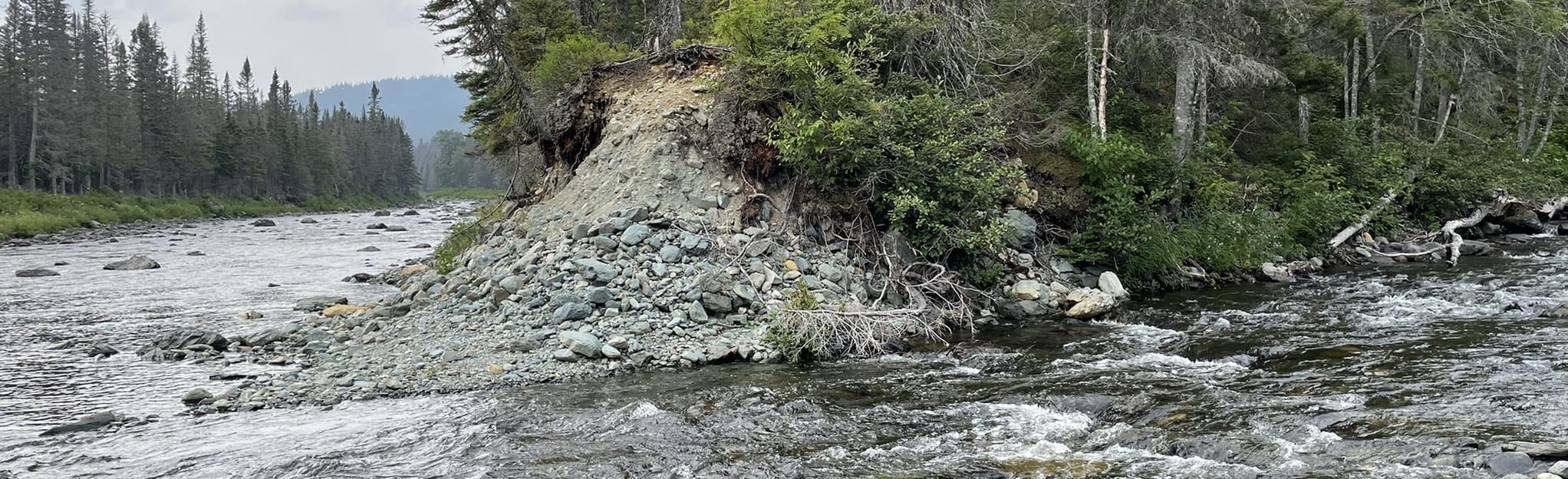 Sentier Rivière Cascapédia Quebec, Canada AllTrails