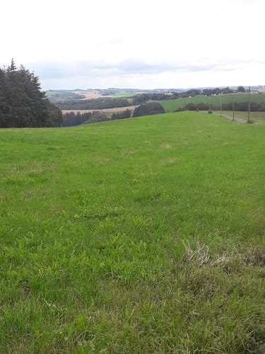 Krautscheid - Oberpierscheid (Naturpark Südeifel Wanderweg Nr. 90)