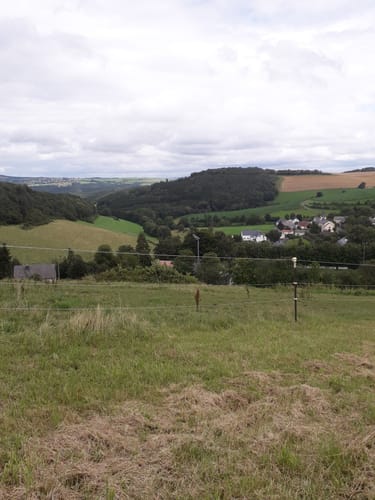 Krautscheid - Oberpierscheid (Naturpark Südeifel Wanderweg Nr. 90)
