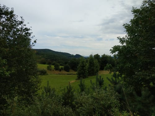 Durch den Wald bei Eitenzell