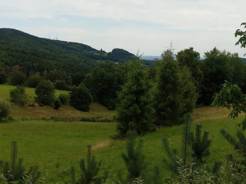 Durch den Wald bei Eitenzell