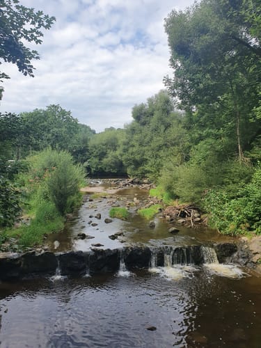 An Iller, Aitrach und Rappenbach Rückhaltebecken