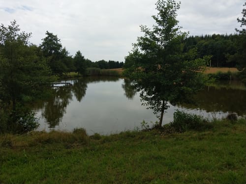 Durch den Wald bei Eitenzell