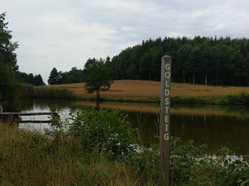 Durch den Wald bei Eitenzell