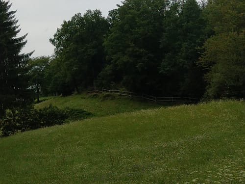 Durch den Wald bei Eitenzell