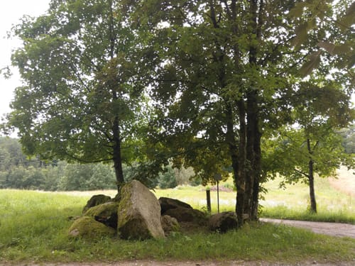 Durch den Wald bei Eitenzell