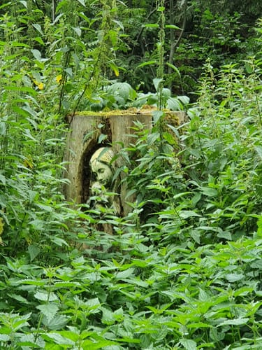 An Iller, Aitrach und Rappenbach Rückhaltebecken