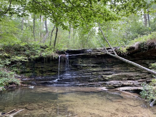 10 Best hikes and trails in DeSoto State Park AllTrails