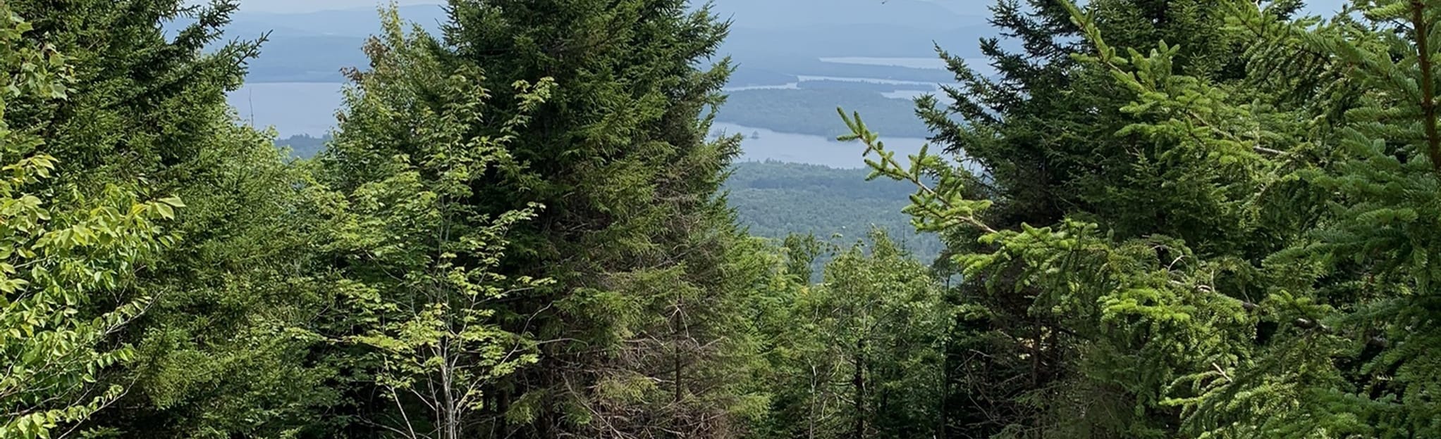 West Mountain via Raquette Lake, New York 15 Reviews, Map AllTrails