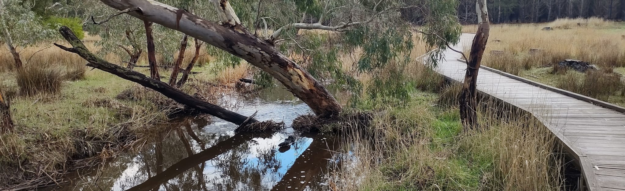 Mount Crawford Boardwalk, South Australia, Australia 53 Reviews, Map