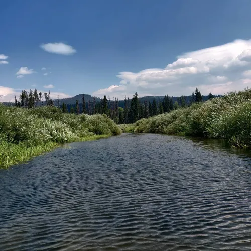 2023 Best Paddle Sports Trails in Seeley Lake AllTrails