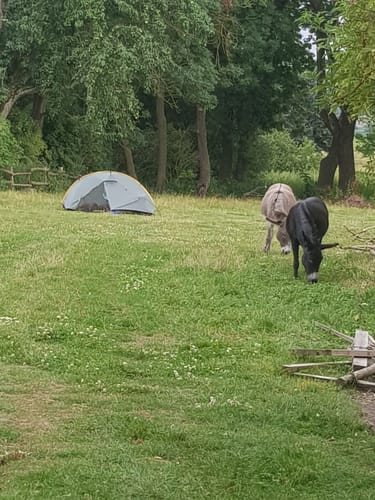 Uckermärker Landrunde Etappe 2: Warnitz - Angermünde