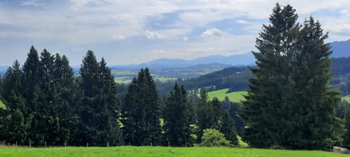 Über die Ellegghöhe durch den Berschwald