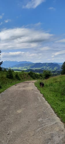 Über die Ellegghöhe durch den Berschwald