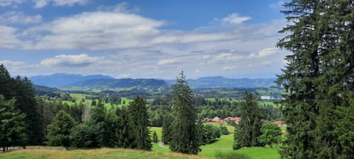 Über die Ellegghöhe durch den Berschwald