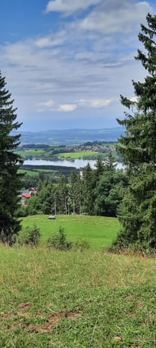 Über die Ellegghöhe durch den Berschwald