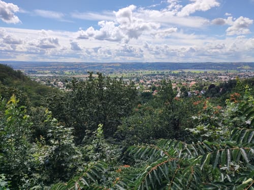 Rieselgrund