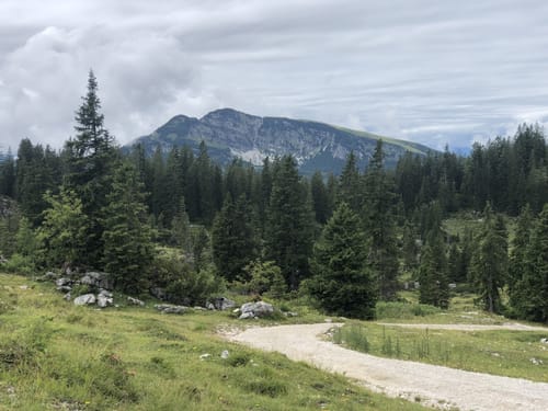 Fellhorn ab Seegatterl