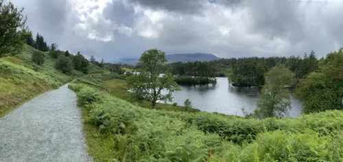 Photos of Low Moor Wood to Banishead Quarry - Cumbria, England