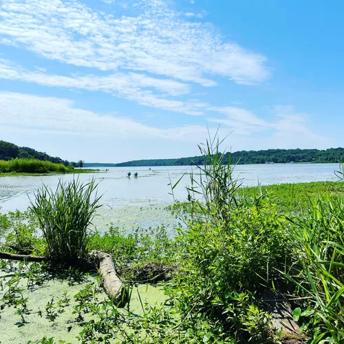 10 Best Hikes and Trails in Hueston Woods State Park AllTrails