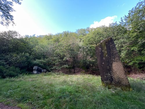 Oberthaler Grenzweg