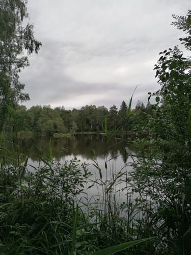 Pfrunger-Burgweiler Ried